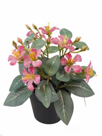 Artificial Flower 22*22*25cm Lobelia in PP pot GS-03325007 2025JUL 3,000+ sqm showroom with thousands of artificial flowers, plants & trees ready for global sourcing.