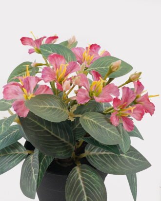 Artificial Flower 15*15*20cm mini Bauhinia in PP pot GS-03325006-R1 2025JUL YeahFlower is one of Chinese leading OEM manufacturers and exporters , supplying the silk flowers, wholesale artificial trees