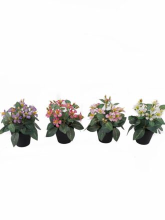 Artificial Flower 17*17*18cm Wild flower in PP pot GS-03325005-R2 2025JUL 3,000+ sqm showroom with thousands of artificial flowers, plants & trees ready for global sourcing.