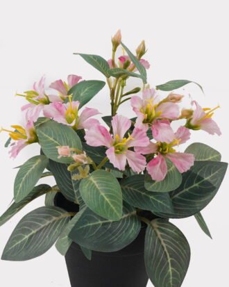 Artificial Flower 15*15*20cm mini Bauhinia in PP pot GS-03325006 2025JUL YeahFlower is one of Chinese leading OEM manufacturers and exporters , supplying the silk flowers, wholesale artificial trees