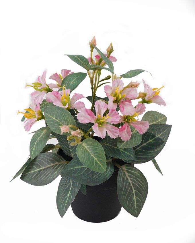 Artificial Flower 15*15*20cm mini Bauhinia in PP pot GS-03325006 2025JUL YeahFlower is one of Chinese leading OEM manufacturers and exporters , supplying the silk flowers, wholesale artificial trees