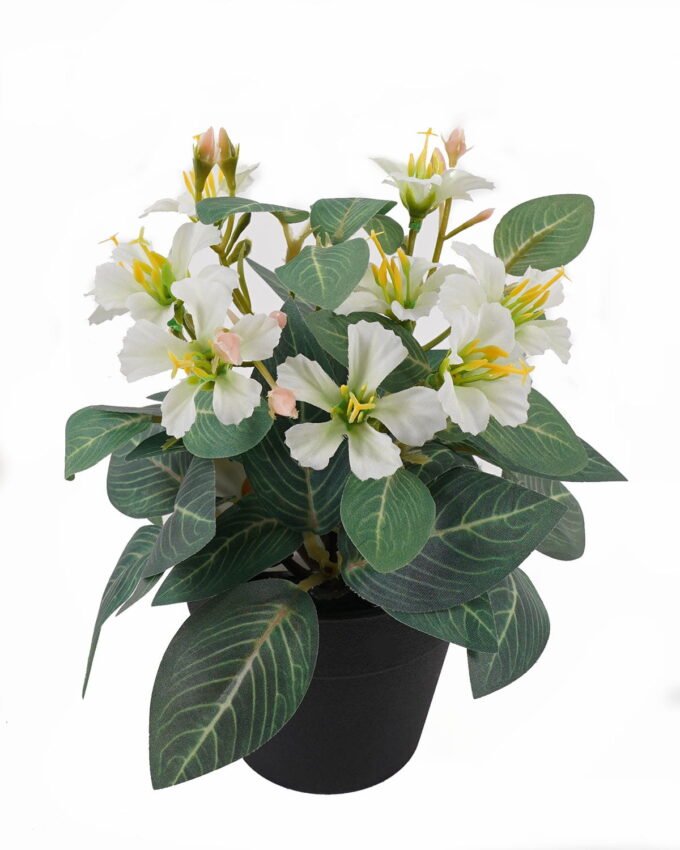 Artificial Flower 15*15*20cm mini Bauhinia in PP pot GS-03325006 2025JUL YeahFlower is one of Chinese leading OEM manufacturers and exporters , supplying the silk flowers, wholesale artificial trees