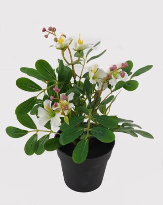 Artificial Flower 22*22*28cm mini Bauhinia in PP pot GS-03325009-W1 2025JUL YeahFlower is one of Chinese leading OEM manufacturers and exporters , supplying the silk flowers, wholesale artificial trees Artificial Flower 22*22*28cm mini Bauhinia in PP pot GS-03325009-W1 2025JUL YeahFlower is one of Chinese leading OEM manufacturers and exporters , supplying the silk flowers, wholesale artificial trees
