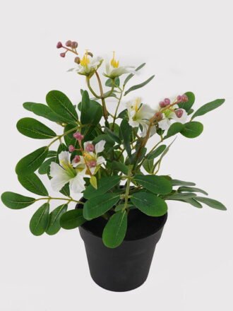 Artificial Flower 20*20*24cm Dendrobium in PP pot GS-03325010 2025JUL 3,000+ sqm showroom with thousands of artificial flowers, plants & trees ready for global sourcing.