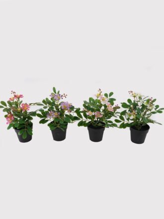 Artificial Flower 22*22*28cm mini Bauhinia in PP pot GS-03325009-W1 2025JUL 3,000+ sqm showroom with thousands of artificial flowers, plants & trees ready for global sourcing.