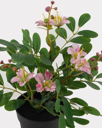Artificial Flower 22*22*28cm mini Bauhinia in PP pot GS-03325009 2025JUL YeahFlower is one of Chinese leading OEM manufacturers and exporters , supplying the silk flowers, wholesale artificial trees Artificial Flower 22*22*28cm mini Bauhinia in PP pot GS-03325009 2025JUL YeahFlower is one of Chinese leading OEM manufacturers and exporters , supplying the silk flowers, wholesale artificial trees
