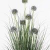 Artificial Grass Allium sphaerocephalum 7 in pp pot GS-61925023-B1_4 Artificial Grass 70*70*105cm Allium sphaerocephalum *7 in pp pot GS-61925023-B1 2025AUG YeahFlower is one of Chinese leading OEM manufacturers and exporters , supplying the silk flowers, wholesale artificial trees