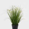 Artificial Grass 35*35*58cm Bush lily in PP pot GS-29425033 2025JUL YeahFlower is one of Chinese leading OEM manufacturers and exporters , supplying the silk flowers, wholesale artificial trees