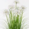 Artificial Grass 65*65*90cm Lycoris radiata *7 GS-61925008 2025AUG YeahFlower is one of Chinese leading OEM manufacturers and exporters , supplying the silk flowers, wholesale artificial trees