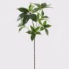 Artificial Plant 38 38 110cm Umbrella Leaf single stem GS-46725037_2 Artificial Plant 38*38**110cm Umbrella Leaf single stem GS-46725037 2025JUL YeahFlower is one of Chinese leading OEM manufacturers and exporters , supplying the silk flowers, wholesale artificial trees