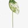 Artificial Plant 30*30*81cm Anthurium crystallinum single stem GS-70325011KD-G7 2025SEP YeahFlower is one of Chinese leading OEM manufacturers and exporters , supplying the silk flowers, wholesale artificial trees