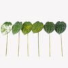 Artificial Plant 30*30*81cm Anthurium crystallinum single stem GS-70325011KD 2025SEP YeahFlower is one of Chinese leading OEM manufacturers and exporters , supplying the silk flowers, wholesale artificial trees