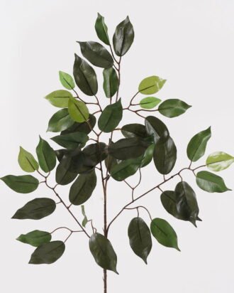 Artificial Plant 43*43*61cm Banyan leaves single stem/41 lvs GS-79325004 2025SEP YeahFlower is one of Chinese leading OEM manufacturers and exporters , supplying the silk flowers, wholesale artificial trees Artificial Plant 43*43*61cm Banyan leaves single stem/41 lvs GS-79325004 2025SEP YeahFlower is one of Chinese leading OEM manufacturers and exporters , supplying the silk flowers, wholesale artificial trees