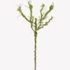 Artificial Plant Branch single stem GS-30025013_1 Artificial Plant 30*30*72cm Branch single stem GS-30025013 2025JUL YeahFlower is one of Chinese leading OEM manufacturers and exporters , supplying the silk flowers, wholesale artificial trees