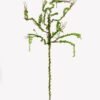Artificial Plant Branch single stem GS-30025015_1 Artificial Plant 44*44*115cm Branch single stem GS-30025015 2025JUL YeahFlower is one of Chinese leading OEM manufacturers and exporters , supplying the silk flowers, wholesale artificial trees