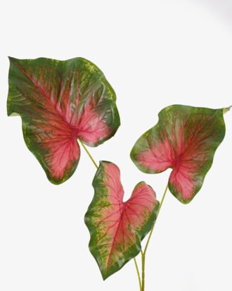 Artificial Plant 26*26*93cm Caladium *3 bush GS-70325007-G3 2025SEP YeahFlower is one of Chinese leading OEM manufacturers and exporters , supplying the silk flowers, wholesale artificial trees Artificial Plant 26*26*93cm Caladium *3 bush GS-70325007-G3 2025SEP YeahFlower is one of Chinese leading OEM manufacturers and exporters , supplying the silk flowers, wholesale artificial trees