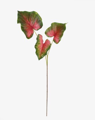 Artificial Plant 26*26*93cm Caladium *3 bush GS-70325007-G3 2025SEP YeahFlower is one of Chinese leading OEM manufacturers and exporters , supplying the silk flowers, wholesale artificial trees Artificial Plant 26*26*93cm Caladium *3 bush GS-70325007-G3 2025SEP YeahFlower is one of Chinese leading OEM manufacturers and exporters , supplying the silk flowers, wholesale artificial trees