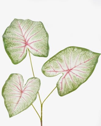 Artificial Plant 26*26*93cm Caladium *3 bush GS-70325007 2025SEP YeahFlower is one of Chinese leading OEM manufacturers and exporters , supplying the silk flowers, wholesale artificial trees Artificial Plant 26*26*93cm Caladium *3 bush GS-70325007 2025SEP YeahFlower is one of Chinese leading OEM manufacturers and exporters , supplying the silk flowers, wholesale artificial trees