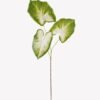 Artificial Plant 26*26*93cm Caladium *3 bush GS-70325007 2025SEP YeahFlower is one of Chinese leading OEM manufacturers and exporters , supplying the silk flowers, wholesale artificial trees