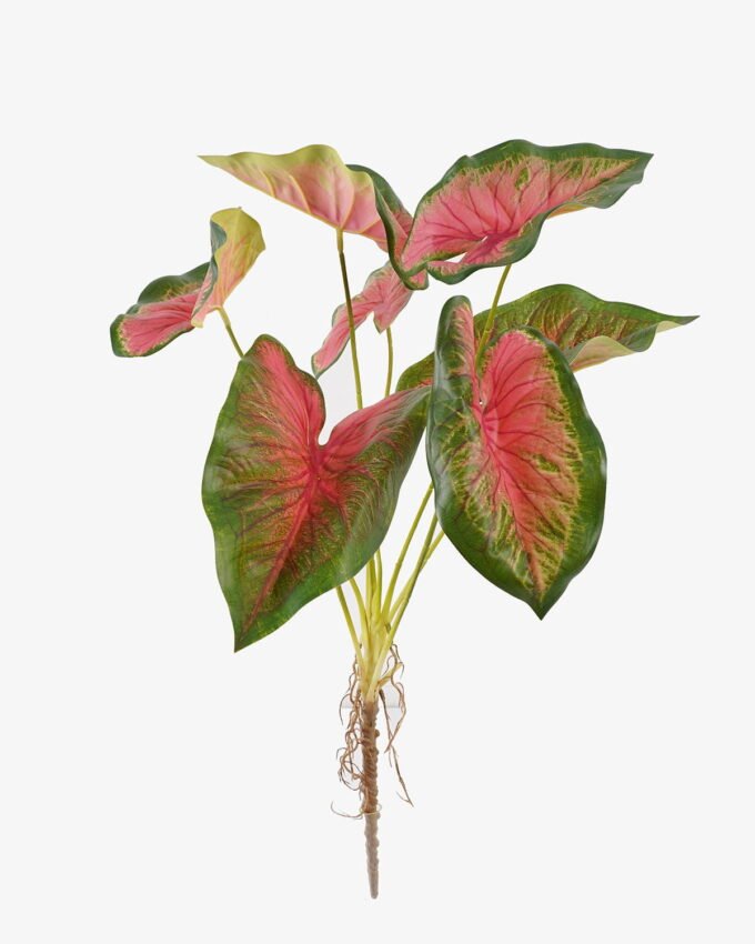 Artificial Plant 30*30*64cm Caladium *7 bush GS-70325006 2025SEP YeahFlower is one of Chinese leading OEM manufacturers and exporters , supplying the silk flowers, wholesale artificial trees