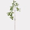 Artificial Plant 40*40*113cm Cape jasmine leaf single stem GS-70325003 2025SEP YeahFlower is one of Chinese leading OEM manufacturers and exporters , supplying the silk flowers, wholesale artificial trees