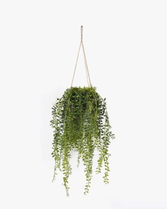 Artificial Plant 30*30*122cm Chlorophytum comosum hanging GS-48125001 2025JUL YeahFlower is one of Chinese leading OEM manufacturers and exporters , supplying the silk flowers, wholesale artificial trees Artificial Plant 30*30*122cm Chlorophytum comosum hanging GS-48125001 2025JUL YeahFlower is one of Chinese leading OEM manufacturers and exporters , supplying the silk flowers, wholesale artificial trees