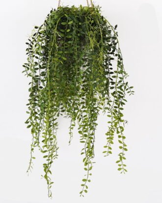 Artificial Plant 30*30*122cm Chlorophytum comosum hanging GS-48125001 2025JUL YeahFlower is one of Chinese leading OEM manufacturers and exporters , supplying the silk flowers, wholesale artificial trees Artificial Plant 30*30*122cm Chlorophytum comosum hanging GS-48125001 2025JUL YeahFlower is one of Chinese leading OEM manufacturers and exporters , supplying the silk flowers, wholesale artificial trees