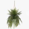 Artificial Plant Chlorophytum comosum hanging GS-48125002_2 Artificial Plant 51*51*107cm Chlorophytum comosum hanging GS-48125002 2025JUL YeahFlower is one of Chinese leading OEM manufacturers and exporters , supplying the silk flowers, wholesale artificial trees