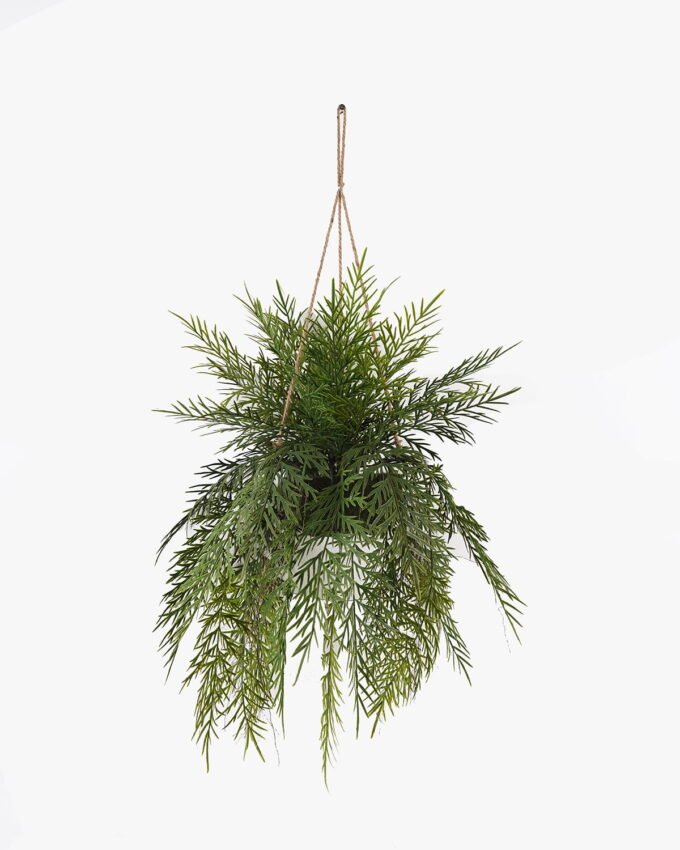 Artificial Plant Chlorophytum comosum hanging GS-48125002_2 Artificial Plant 51*51*107cm Chlorophytum comosum hanging GS-48125002 2025JUL YeahFlower is one of Chinese leading OEM manufacturers and exporters , supplying the silk flowers, wholesale artificial trees