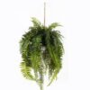 Artificial Plant 63*63*127cm Fern leaf hanging GS-48125003 2025JUL YeahFlower is one of Chinese leading OEM manufacturers and exporters , supplying the silk flowers, wholesale artificial trees