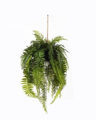 Artificial Plant 63*63*127cm Fern leaf hanging GS-48125003 2025JUL YeahFlower is one of Chinese leading OEM manufacturers and exporters , supplying the silk flowers, wholesale artificial trees