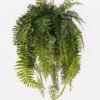 Artificial Plant 63*63*127cm Fern leaf hanging GS-48125003 2025JUL YeahFlower is one of Chinese leading OEM manufacturers and exporters , supplying the silk flowers, wholesale artificial trees
