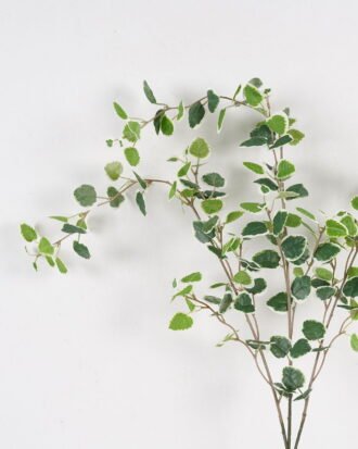 Artificial Plant 20*20*93cm Fig tree leaf single stem/180 lvs GS-13825022 2025JUL YeahFlower is one of Chinese leading OEM manufacturers and exporters , supplying the silk flowers, wholesale artificial trees Artificial Plant 20*20*93cm Fig tree leaf single stem/180 lvs GS-13825022 2025JUL YeahFlower is one of Chinese leading OEM manufacturers and exporters , supplying the silk flowers, wholesale artificial trees