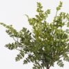 Artificial Plant 27*27*46cm Leaf bush GS-48125014 2025JUL YeahFlower is one of Chinese leading OEM manufacturers and exporters , supplying the silk flowers, wholesale artificial trees