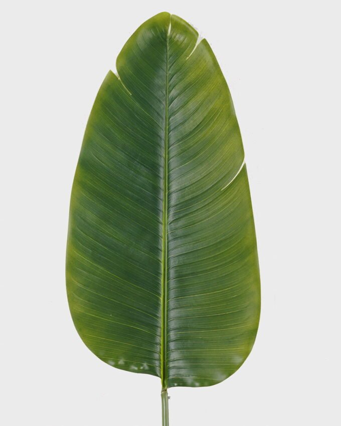 Artificial Plant 27*27*115cm Leaf single stem GS-46725021 2025AUG YeahFlower is one of Chinese leading OEM manufacturers and exporters , supplying the silk flowers, wholesale artificial trees