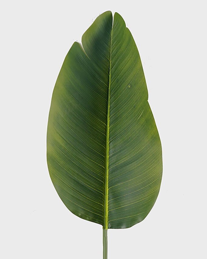 Artificial Plant 26*26*100cm  Leaf single stem GS-46725022 2025AUG YeahFlower is one of Chinese leading OEM manufacturers and exporters , supplying the silk flowers, wholesale artificial trees