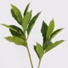 Artificial Plant 36*36*103cm Leaf single stem GS-46725041 2025JUL YeahFlower is one of Chinese leading OEM manufacturers and exporters , supplying the silk flowers, wholesale artificial trees