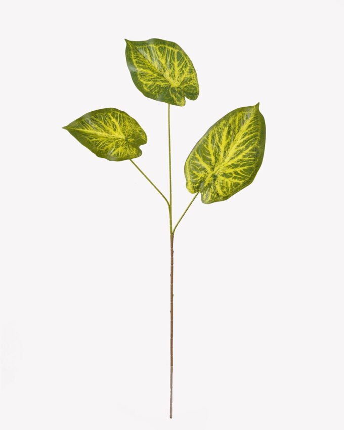 Artificial Plant 17*17*86cm Nephthytis *3 bush GS-70325008 2025SEP YeahFlower is one of Chinese leading OEM manufacturers and exporters , supplying the silk flowers, wholesale artificial trees