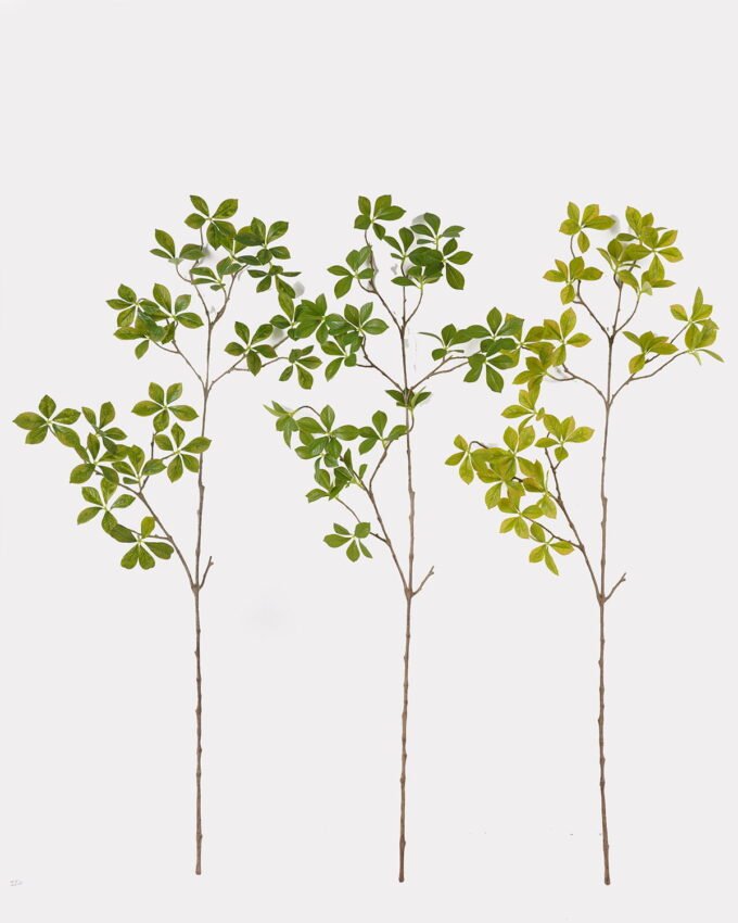 Artificial Plant 30*30*112cm Polyscias single stem GS-70325002 2025SEP YeahFlower is one of Chinese leading OEM manufacturers and exporters , supplying the silk flowers, wholesale artificial trees