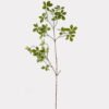 Artificial Plant 30*30*112cm Polyscias single stem GS-70325002 2025SEP YeahFlower is one of Chinese leading OEM manufacturers and exporters , supplying the silk flowers, wholesale artificial trees