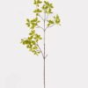 Artificial Plant 30*30*112cm Polyscias single stem GS-70325002 2025SEP YeahFlower is one of Chinese leading OEM manufacturers and exporters , supplying the silk flowers, wholesale artificial trees