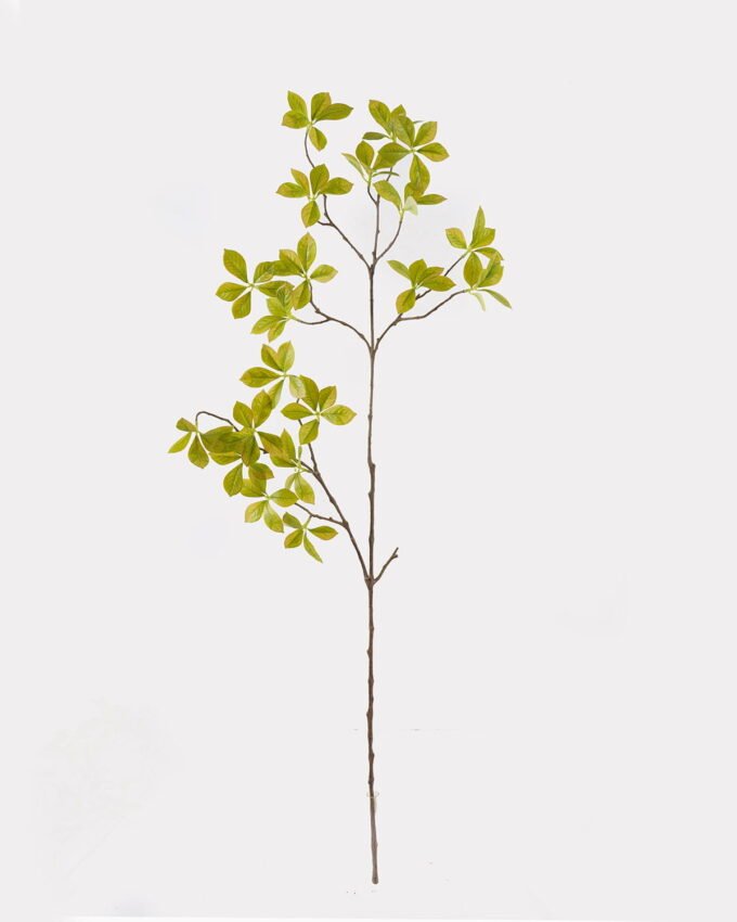 Artificial Plant 30*30*112cm Polyscias single stem GS-70325002 2025SEP YeahFlower is one of Chinese leading OEM manufacturers and exporters , supplying the silk flowers, wholesale artificial trees