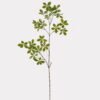 Artificial Plant 30*30*112cm Polyscias single stem GS-70325002 2025SEP YeahFlower is one of Chinese leading OEM manufacturers and exporters , supplying the silk flowers, wholesale artificial trees