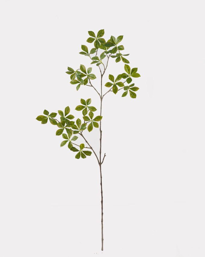 Artificial Plant 30*30*112cm Polyscias single stem GS-70325002 2025SEP YeahFlower is one of Chinese leading OEM manufacturers and exporters , supplying the silk flowers, wholesale artificial trees