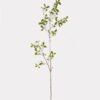 Artificial Plant 26*26*126cm Pusillifolia  single stem GS-70325004 2025SEP YeahFlower is one of Chinese leading OEM manufacturers and exporters , supplying the silk flowers, wholesale artificial trees