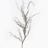 Artificial Plant 16*105cm Rattan single stem GS-57725008 2025AUG YeahFlower is one of Chinese leading OEM manufacturers and exporters , supplying the silk flowers, wholesale artificial trees
