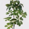 Artificial Plant Schefflera Leaf single stem GS-46725042_3 Artificial Plant 46*46*122cm Schefflera Leaf single stem GS-46725042 2025JUL YeahFlower is one of Chinese leading OEM manufacturers and exporters , supplying the silk flowers, wholesale artificial trees