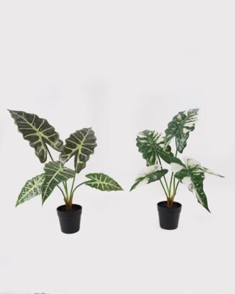 Artificial Table Plants 60*46*50cm Alocasia in PP pot GS-03325034 2025JUL YeahFlower is one of Chinese leading OEM manufacturers and exporters , supplying the silk flowers, wholesale artificial trees Artificial Table Plants 60*46*50cm Alocasia in PP pot GS-03325034 2025JUL YeahFlower is one of Chinese leading OEM manufacturers and exporters , supplying the silk flowers, wholesale artificial trees