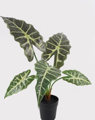 Artificial Table Plants 60*46*50cm Alocasia in PP pot GS-03325034 2025JUL YeahFlower is one of Chinese leading OEM manufacturers and exporters , supplying the silk flowers, wholesale artificial trees Artificial Table Plants 60*46*50cm Alocasia in PP pot GS-03325034 2025JUL YeahFlower is one of Chinese leading OEM manufacturers and exporters , supplying the silk flowers, wholesale artificial trees