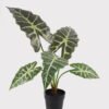 Artificial Table Plants 60*46*50cm Alocasia in PP pot GS-03325034 2025JUL YeahFlower is one of Chinese leading OEM manufacturers and exporters , supplying the silk flowers, wholesale artificial trees